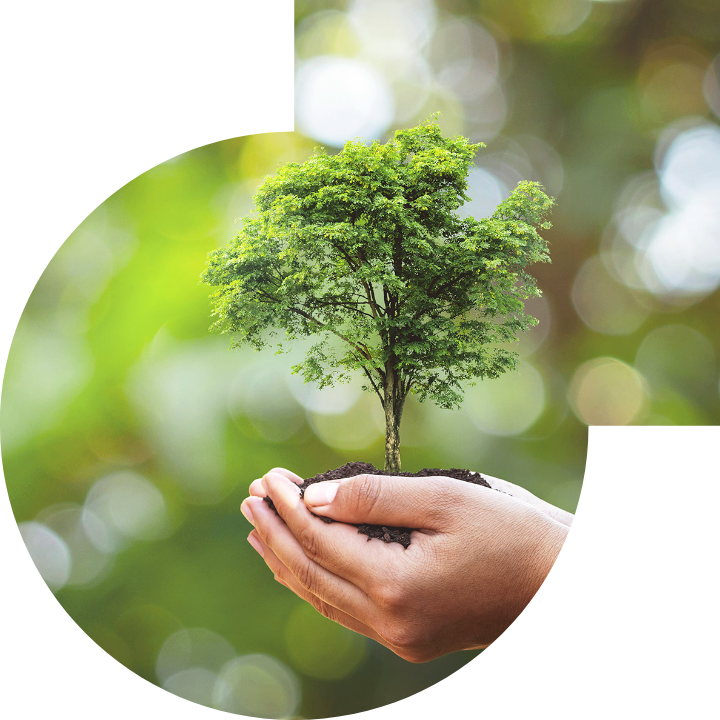 關懷人類、文化、環境與社會